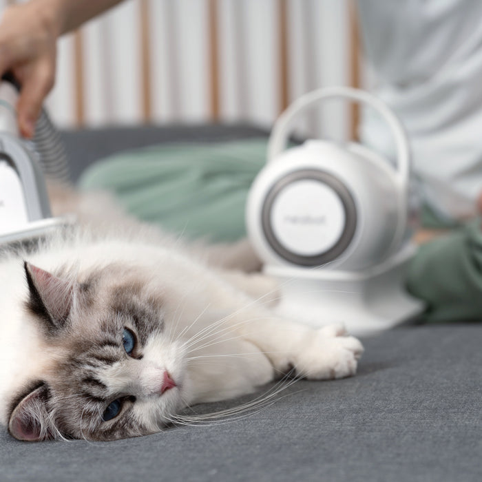 4 Tips on Pet Grooming for Beginners with Neabot