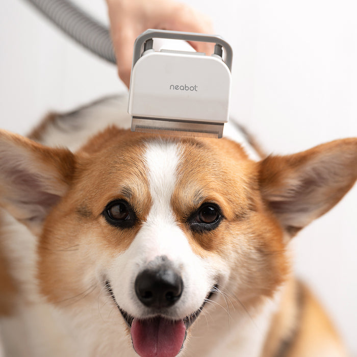 What do people and their pets think of the Neabot P1 PRO?