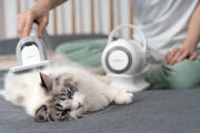 4 Tips on Pet Grooming for Beginners with Neabot