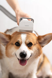 What do people and their pets think of the Neabot P1 PRO?