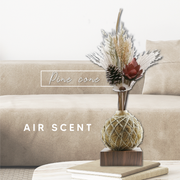 Zero 2.5 Air Scent - Natural Fiber-Based Ionizer on a table 